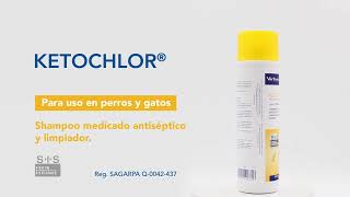 KETOCHLOR  Shampoo anstiséptico y limpiador [upl. by Kruse682]