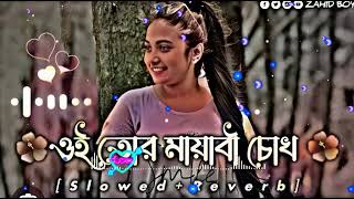 Oi Tor Mayabi Chokh ওই তোর মায়াবী চোখ Slowed Reverb Bangla Lofi Song Bangla Song [upl. by Arimat822]