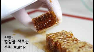 팅글폭발 🐝 벌집꿀 자르는 소리 ASMR  한세 [upl. by Vandervelde803]