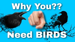 Importance of Birds  Why we need Birds  Top 5 Facts [upl. by Sal]