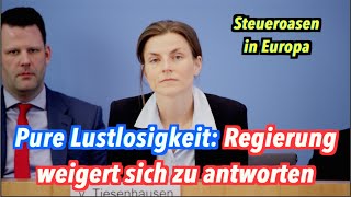 Eine Woche Lustlosigkeit Bundesregierung will EUSteueroasen nicht aussprechen [upl. by Leirej]