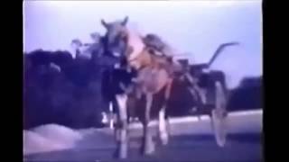 BRINDISI ANNO 19601963 RIPRESE VIDEO STRAORDINARIE [upl. by Nirac779]