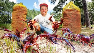 Stocking MASSIVE Crawfish for a WORLD RECORD Bass in my Backyard Pond [upl. by Fraase342]