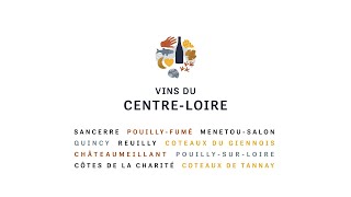 Nouvelle Identité  Vins du CentreLoire  BIVC [upl. by Iak]