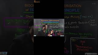 Biochemical Characterisation of Transforming Principle Molecular Basis of Inheritance  Class 12 [upl. by Hege]