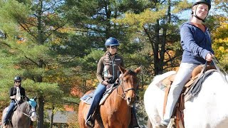 Horse TrailRides [upl. by Esirec293]