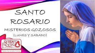 Misterios Gozosos Lunes y Sábado Santo Rosario Meditado [upl. by Leede]