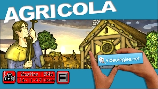 Vidéorègle jeu de société quot AGRICOLA nouvelle édition quot par Yahndrev 546 [upl. by Millan]