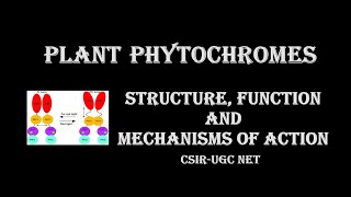 Phytochromes Structure Function amp Mechanisms of action [upl. by Limoli]