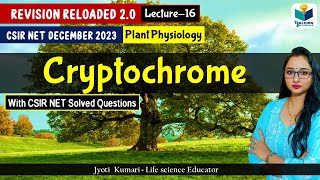 Revision Reloaded 20  Cryptochrome CSIR Dec 2023 Lecture 16  Plant Physiology [upl. by Ahsikin819]