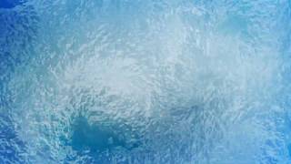 Frost  FREE Video Background Loop HD 1080p [upl. by Edlyn]