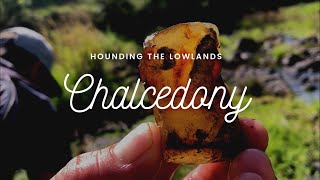 Rockhounding The Lowlands • Fossicking Further P1 • Chalcedony and Agates [upl. by Eintruoc]