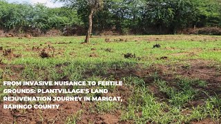 PlantVillages Land Rejuvenation Journey in Marigat Baringo Kenya Converting Prosopis to Biochar [upl. by Nnylg209]