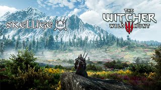 Witcher 3  Skellige  Relaxing Ambience amp Music nextgen study relax [upl. by Ventre]