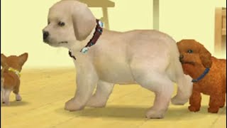 Nintendogs Live 14 Please read desc thanks if you support [upl. by Fraya]