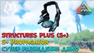 BUILDING THE PRIME SABERTOOTH TIGER SQUAD  ARK SUPREME ARK SURVIVAL EVOLVED MODDED E14 [upl. by Frederich]