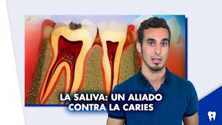 La SALIVA un aliado contra la CARIES dental  Shorts [upl. by Reedy]