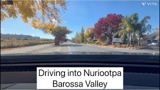 Driving into Nuriootpa Barossa Valley South Australia [upl. by Ataynik]