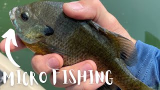 Salem Pond Fishing  BLUEGILL SMASH Micro crank bait Fishing [upl. by Leoni]