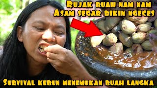 RUJAK BUAH LANGKA BIKIN NGECES DAN NGILER [upl. by Casilde]