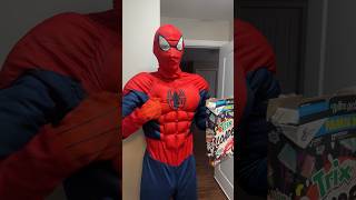 EVIL NERF SPIDERMAN [upl. by Davie]