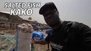 I travelled from Gambia to Senegal to see the process of Authentic salted Fish KAKO in GHANA [upl. by Charity462]