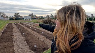 Planting Lots of Daffodils amp Tulips in the Cut Flower Garden 🌷🙌✂️  Garden Answer [upl. by Milde]