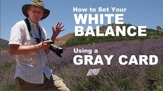 Set Your Camera White Balance with a Gray Card [upl. by Ardnaed]