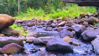 RELAX OR STUDY WITH NATURE SOUNDS Ultimate Thunderstorm  1 hour [upl. by Bart]