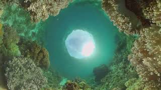 The Deepest Blue Hole Ever Discovered [upl. by Benil]