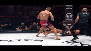 ROBERT BRYCZEK BEST FIGHTS ● KNOCKOUTS ● HIGHLIGHTS [upl. by Pollack626]