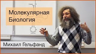 Коллоквиум Все что вы хотели знать про молекулярную биологию но не удосужились спросить [upl. by Eninaej]