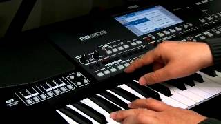 Korg Styles Premium 2014 Vol 3 for Korg PA300 PA600 PA600QT PA900 PA3X PA4X By Lamios Music [upl. by Allyson]