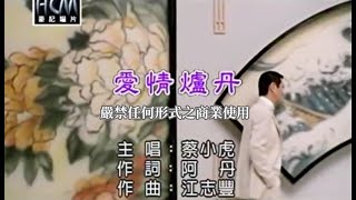 蔡小虎愛情爐丹官方KTV版 [upl. by Maryanna]