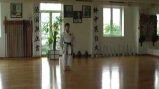 Fukyugata Ichi  Seibukan Karate Jinbukan Kobudo Shudokan Aikido RUSSIA [upl. by Haelhsa395]