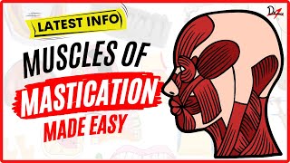 Muscles of Mastication Made Easy [upl. by Shira427]