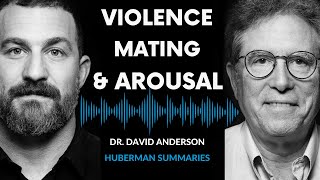 Summary of Dr David Anderson The Biology of Aggression Mating amp Arousal [upl. by Anilemrac618]