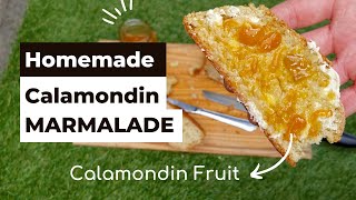 How to make homemade Calamondin Marmalade [upl. by Skell]