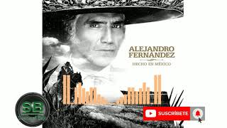 Alejandro Fernandez  Llorando Penas BASS BOOSTED en vivo [upl. by Hew]