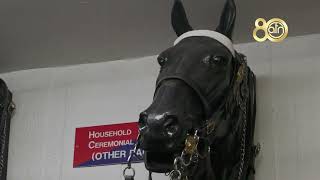 AFN Vicenza US Soldiers visit the Household Cavalry Mounted Regiment [upl. by Harri]