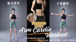 Arm Cardio Workout [upl. by Jerusalem]