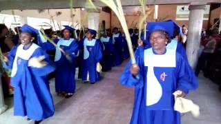 Hosanna ferveur 55  Rameaux 2017 [upl. by Hulbard]