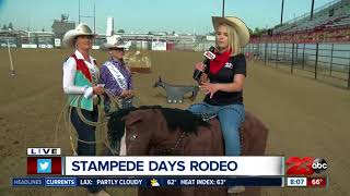 Stampede Rodeo Days hits the Kern County Fairgrounds [upl. by Hertzog]