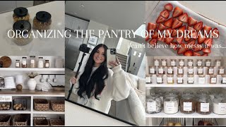 MY INSANE PANTRY TRANSFORMATION I cant believe how messy it was [upl. by Cammi309]