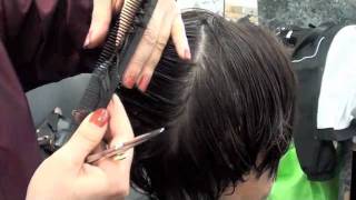 HAIRCUTTING Layer haircut with scissors [upl. by Sallyanne]