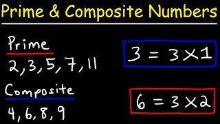 Prime Numbers and Composite Numbers [upl. by Pontias]