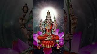 Kamachi Amma Song  காமாட்சி அம்மன் பாடல் nivasine sri [upl. by Kall]