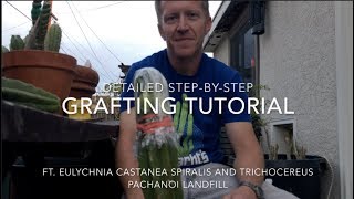 How to Graft Cacti  A Detailed Tutorial l Mallachts Plants [upl. by Ydwor]