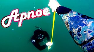 Apnoe Freediving  Training for Spearfishing  Rheinauer Lake Mannheim [upl. by Isidore]