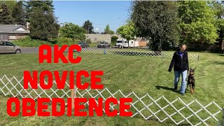 AKC Novice Obedience CD Exercises Explained and Demonstrated [upl. by Richel862]